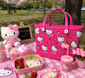 Hello Kitty Pink Picnic Tote Bag 🎀🌸